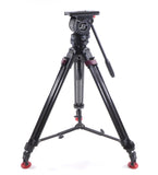 Sachtler DV-8SB DV8 Head with Carbon Fiber Tripod Video DV 8 SB 75mm DV8SB