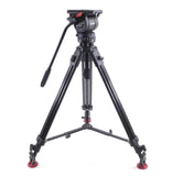 Sachtler DV 6 SB Fluid Head Speed Balance Aluminum Tripod 75mm DV 6SB